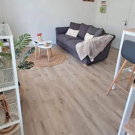 Апартаменти Garden Joli T1bis Proche Arsenal Et Tramway Брест